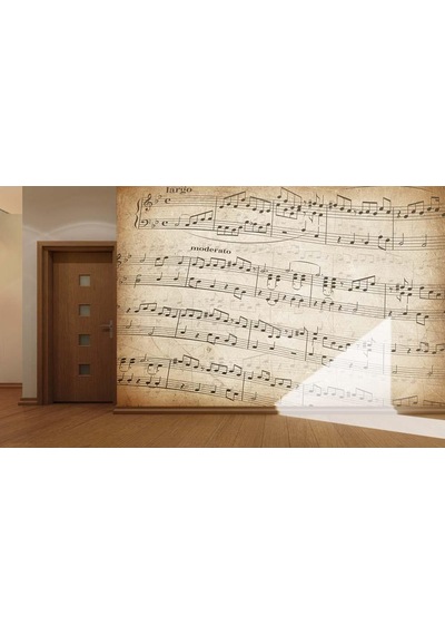 Müzik Notaları Özel Tasarım Duvar Kağıdı (415202557)