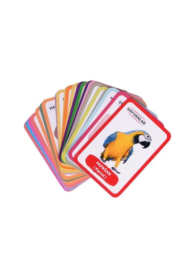 Bebeğimin İlk 100 Kelime + 12 Ay Kartları Moli Toys