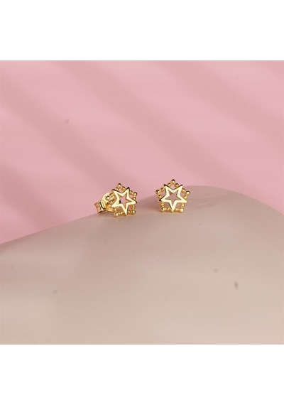 Goldkupe 14 Ayar Altın Yıldız Küpe 1,22 Gr-2185