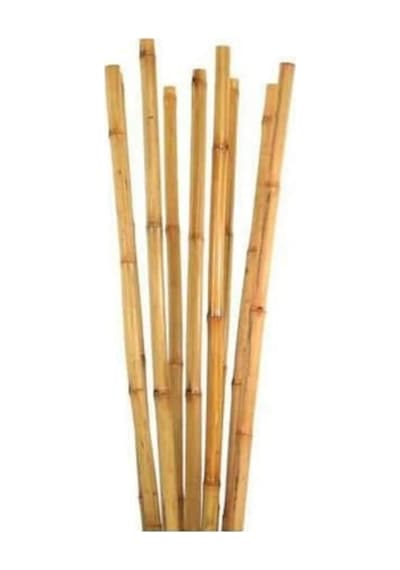 Bambu Bitki Destek Çubuğu 105 Cm 10 Adet