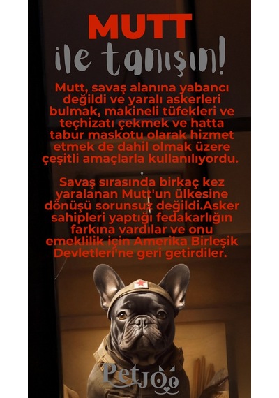 Petjoo 10.Mutt Gri-Kırmızı Qr'lı Köpek Künyesi