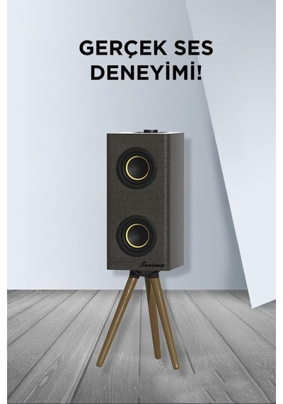 Torima D67 24 W 3000 mAh Kablosuz Taşınabilir Ayaklı Hoparlör