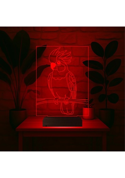 Luvivia Kakadu Papağan Pet Shop 3d Lamba - Masa Gece Lambası Şeffaf