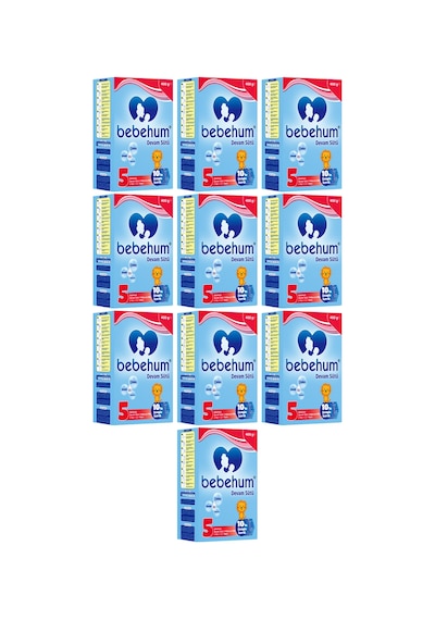 Bebehum 5 Devam Sütü 400 Gr 2 Yaş+ 10 Adet