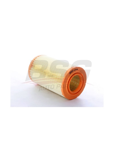 Bsg Hava Fıltresı - Ducato/jumper Boxer 02-