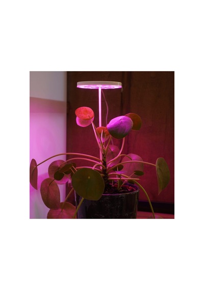 Bitki Led Lamba 5v Usb Fullspectrum Bitki Yetiştirme - Bitki Geliştirme Lambası Halka 8w