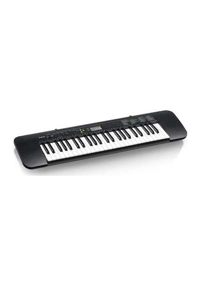 Casio CTK-240 Org