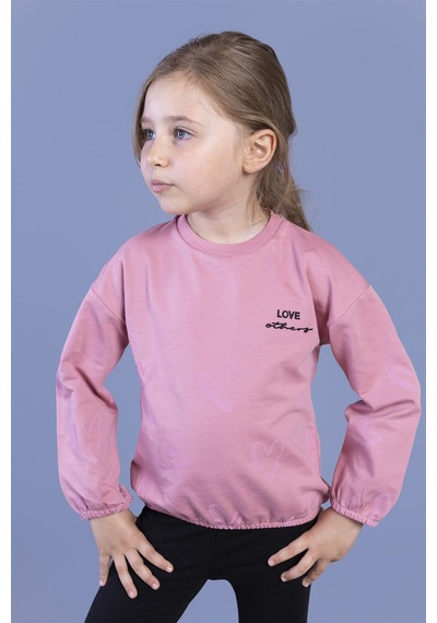 Toontoy Kız Çocuk Nakışlı Büzgü Detaylı Sweatshirt Gülkurusu