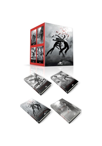 Hush Hush Serisi Kutulu Set 4 Kitap Ciltli
