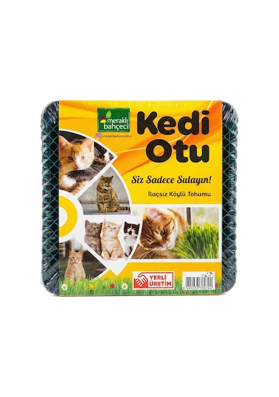 Kedi Çimi - Kedi Sindirim Sistemini Rahatlatıcı Sağlıklı Kedi Otu