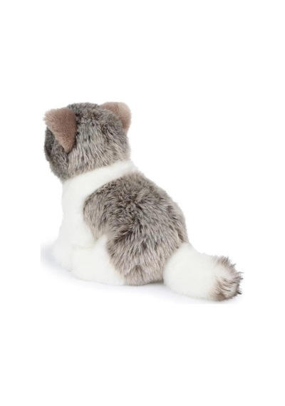 Bon Ton Toys B.t. Chaps Amelie The Scottisch Fold Kutulu Peluş Oyuncak 17 Cm - 7'' 32179010 Gri
