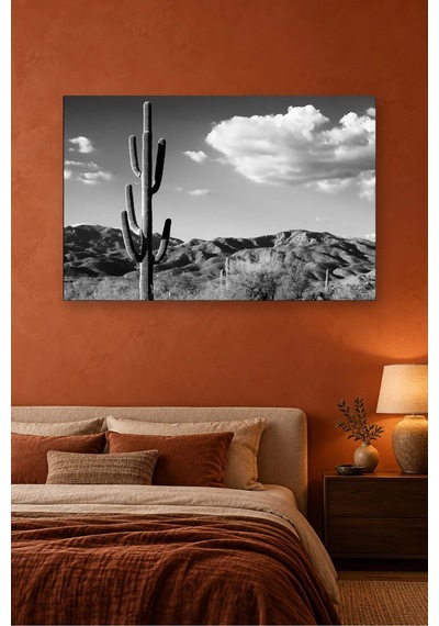 Fida Siyah Beyaz Saguaro Kaktüsü Ve Bulutlar Canvas Tablo Beyaz - Siyah