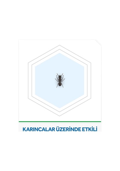 Raid Karınca Yemi 2 Adet 0.75 LT - 2.5 LT - 12 KG