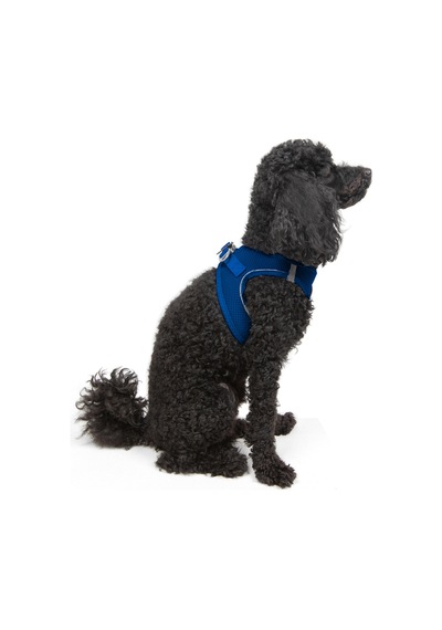 Air-Mesh Küçük ve Orta Irk Kedi Köpek Göğüs Tasması - Yumuşak, Nefes Alabilir, Dayanıklı LACİVERT 2XS