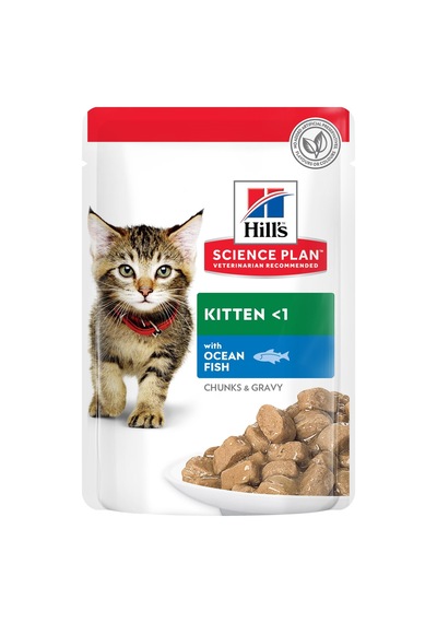 2As Hill's Scıence Plan Okyanus Balıklı Yavru Kedi Pouch 12x85 G 12 Gri