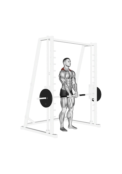 Max Life Smith Machine Çalışma İstasyonu