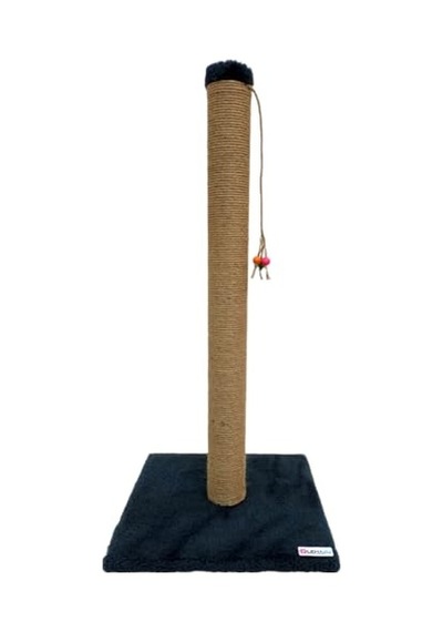 Kuru Kedi Sı, Tavuklu, Az Tahıllı, Yavru Kedi, Hipoalerjenik, 2 Kg 100 G