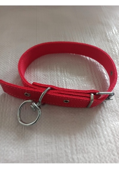 Büyük ve Orta Irk Köpek Tasması