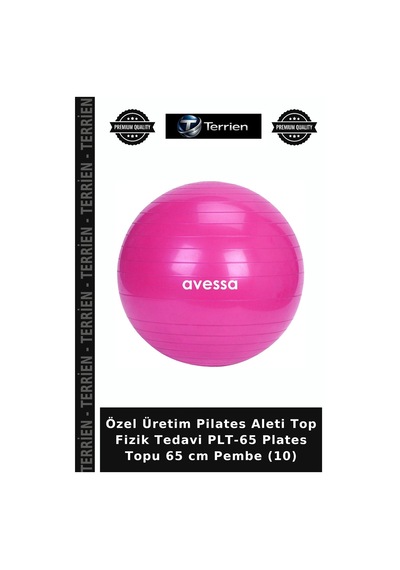 Özel Üretim Pilates Aleti Top Fizik Plt-65 Plates Topu 65 Cm Pembe 10