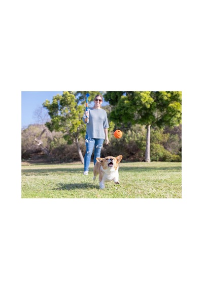 Fetch & Fold Mini Katlanabilir Top Fırlatıcı Küçük Boy Fetch Ball Hediyeli