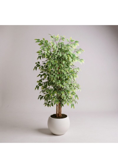 Yapay Ficus Ağaç 150 Cm Beyaz Küre Saksı Yeşil