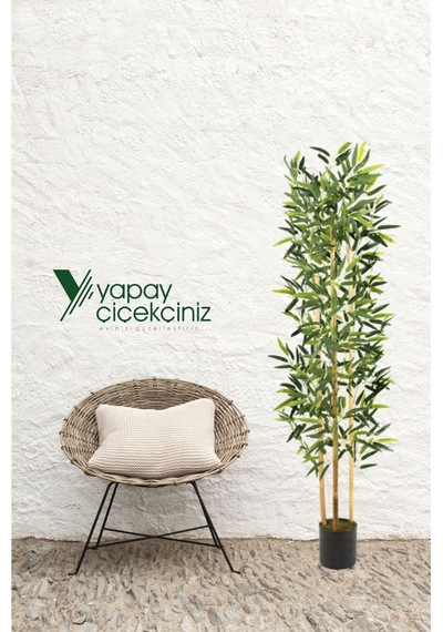 Yapay Çiçekçiniz Yapay Yoğun Yapraklı Dekoratif Bambu Ağacı 3 Gövde 150cm