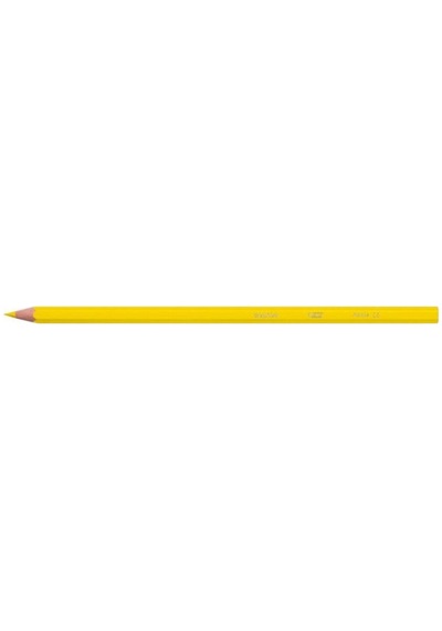 Bic Kids Evolution Kuru Boya Kalemi 36 Renk Metal Tüp 968491