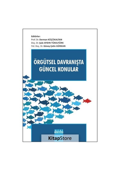 Örgütsel Davranışta Güncel Konular- Detay Yayıncılık