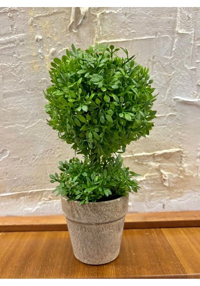 Geometrik Estetik: İkili Küre Formlu Canlı Yeşil Dekoratif Bitki 24 Cm X 10 Cm Yeşil