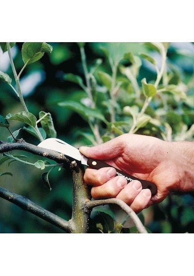 Fiskars K62 Aşı Bıçağı Kancalı 170 MM