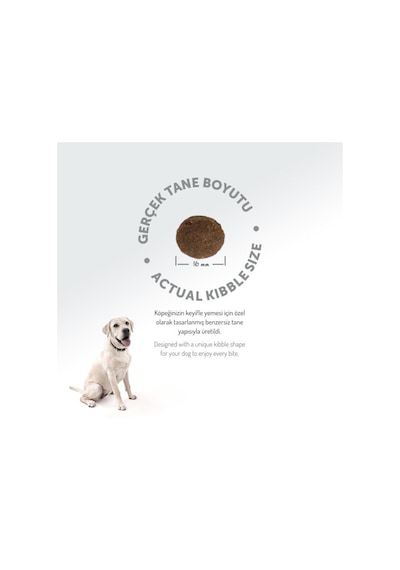 Felicia Derma Care Somonlu Orta Ve Büyük Irk Yetişkin Köpek Maması 6kg