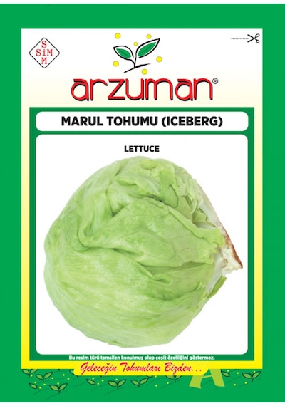 Arzuman Iceberg Marul Tohumu 5 G