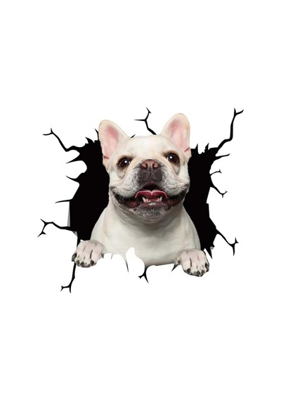 3d Hayvan Desenli French Köpek Figürlü Sticker Etiketi
