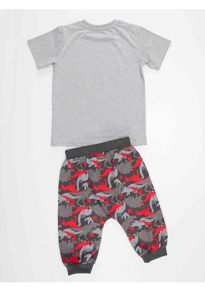 Denokids Mshb&g Triceratops Erkek Çocuk T-shirt Kapri Takım Çok Renkli
