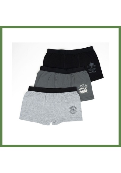 Bezos Erkek 2li Boxer Set K128997 Tek Adet Fiyatıdır Renk: Asorti Beden: 7-8 Yaş Hb006 Çok Renkli