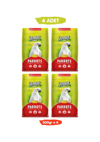 Papağan Yemi Çekirdekli Fıstıklı Yüksek Vitaminli 500 Gr X 4 Adet