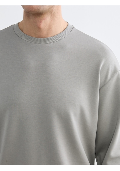 Lcw Vision Gri Bisiklet Yaka Erkek Sweatshirt