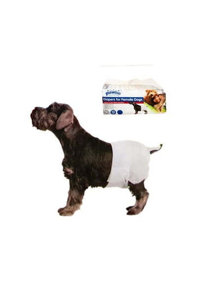 Pawise Dişi Köpek Bağlama Bezi L Boy 12'li