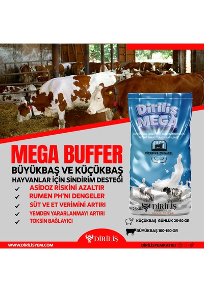 Diriliş Megabuffer 25 Kg