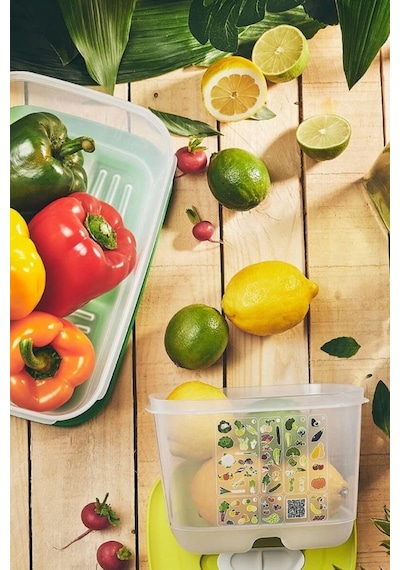 Tupperware Tupperware Sera Serisi Sebze Meyve Saklama Kabı 4.4 Lt Çok Renkli
