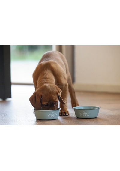 Beeztees Yavru Köpek Mama Su Kabı, Paslanmaz Çelik, Kaymaz Taban, Turkuaz, 13cm, 470ml
