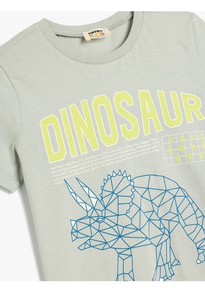 Koton Dinozor Baskılı Pamuklu Gri Erkek Çocuk T-shirt 5skb10153tk Gri Koton Dinozor Baskılı Pamuklu Gri Erkek Çocuk T-shirt 5skb10153tk Gri