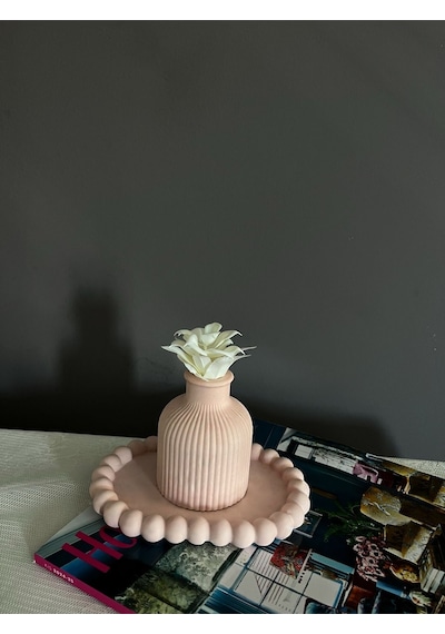 Bernami Biblo Pinterest Dekoratif Set, Oval Bubble Tabak Ve Çizgili Vazo