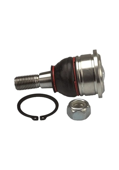 Rotıl Ef41102 Prımera, Sunny 4016086m00,40160j7500,4016070j00