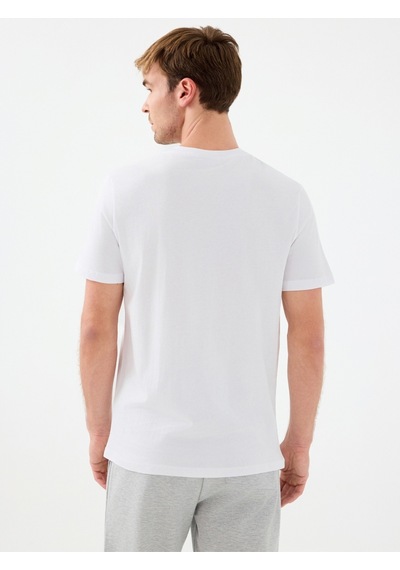 Regular Fit Erkek Tshirt K.kol White&green