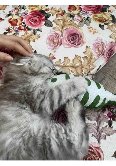 Yeşil Balık - Kedi Naneli Catnipli & Kedi Zilli Kedi Oyuncağı Kedi Yastığı - Dino Pet Oyuncak