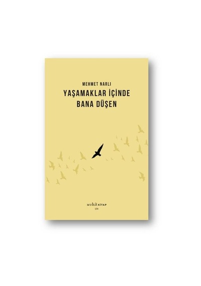 Yaşamaklar İçinde Bana Düşen - Qhdh-894369