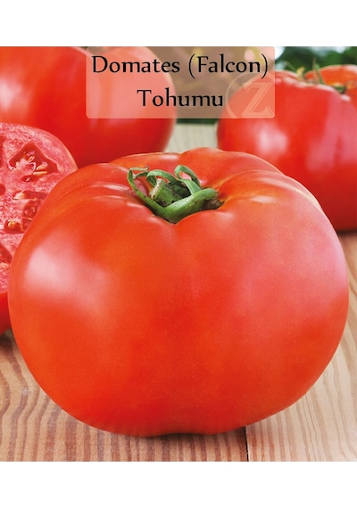 6 Paket Tohum No1 Cherry Çeri Domates Tohumu Salatalık Tohumu Biber Tohumları Sebze Tohumları