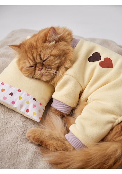 Winter Hearts Kedi Uyku Seti Penye Kedi Tulum Ve Mini Yastık Takımı Pamuklu Tüy Dökülmesini Azaltır