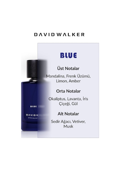 David Walker Unıque Blue 1987 Unisex Parfüm EDP 100 ML